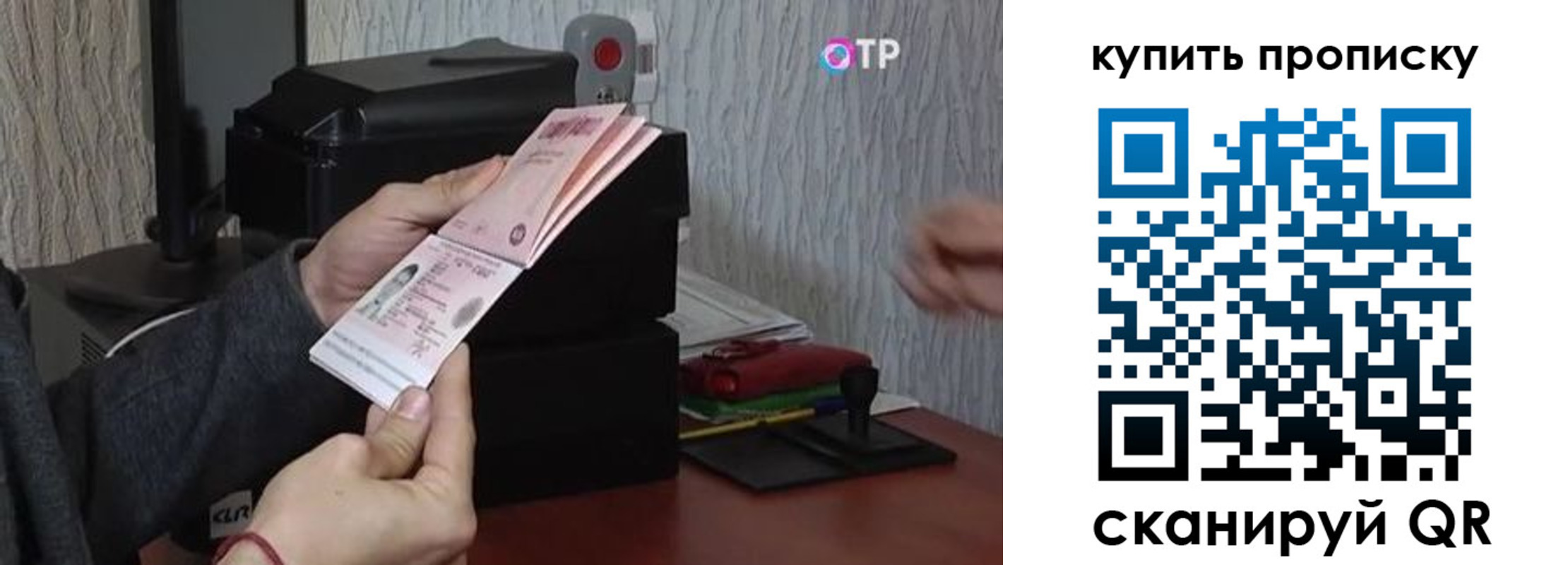 прописка гарантия в Купино